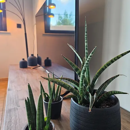 Vakantiewoning Maison Mathiz ミデルケルケ